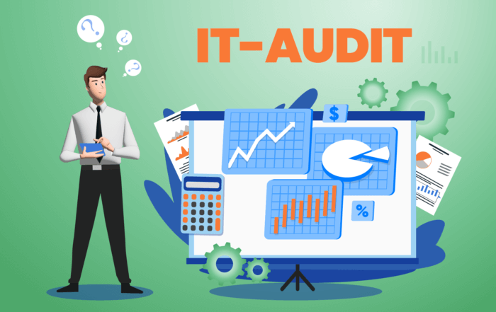 IT-Audit